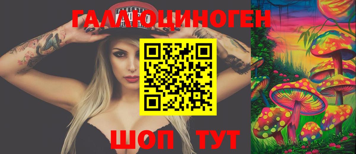Псилоцибиновые грибы мицелий  Вход с VPN  Вязники  Псилоцибиновые грибы Magic Shrooms 