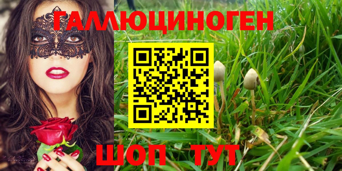 Галлюциногенные грибы Magic Shrooms Вязники